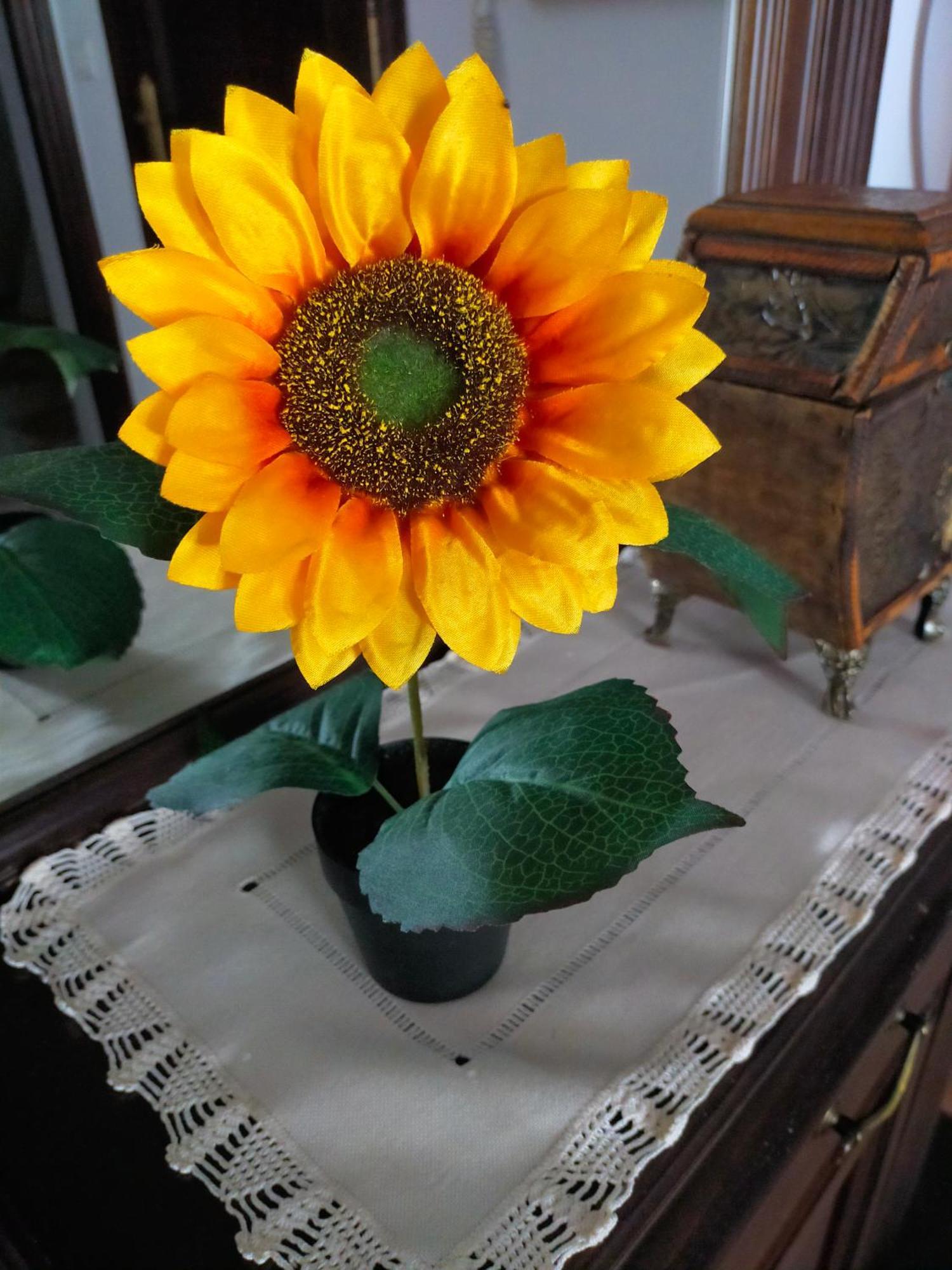 Los Girasoles 올베라 외부 사진